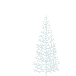 Lot de Sapins Gris & Blanc