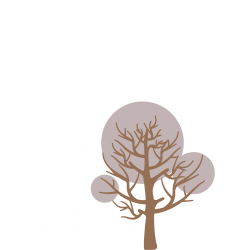 Lot d'Arbres n°2