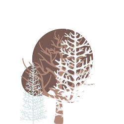 Lot d'Arbres n°3