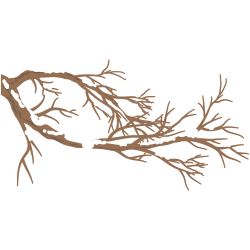 Les Branchages à Gauche